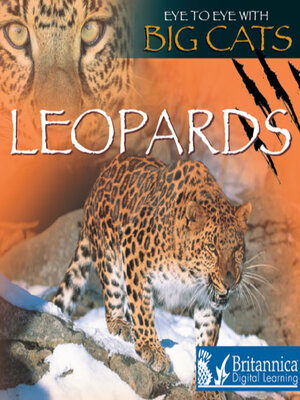 cover image of Leopards